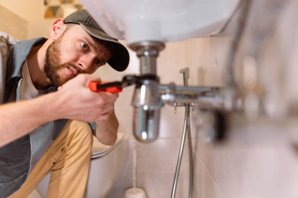 Best Local Plumber Services  in , IL